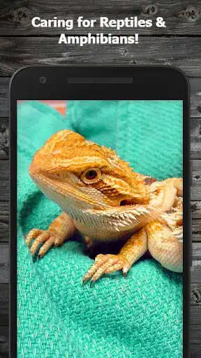 Play How to Take Care of Reptiles & Amphibians (Guide)  and enjoy How to Take Care of Reptiles & Amphibians (Guide) with UptoPlay