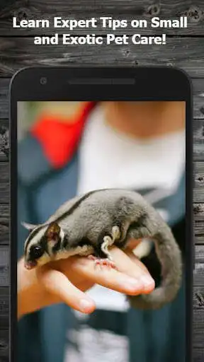 Play How to Take Care of Small & Exotic Pets (Guide)  and enjoy How to Take Care of Small & Exotic Pets (Guide) with UptoPlay