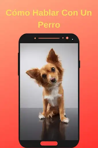 Play How to Talk to a Dog  and enjoy How to Talk to a Dog with UptoPlay