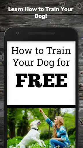 Play How to Train Your Dog (Guide)  and enjoy How to Train Your Dog (Guide) with UptoPlay