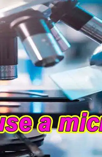 Play How to use a microscope as an online game online How to use a microscope with UptoPlay com.tips.mikroskop Play How to use a microscope as an online game How to use a microscope with UptoPlay