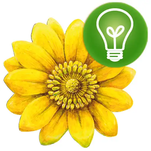 Play HP-Prüfungstrainer APK