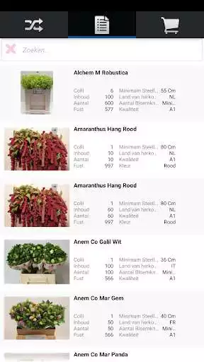 Play HpvanNieuwkerk as an online game HpvanNieuwkerk with UptoPlay