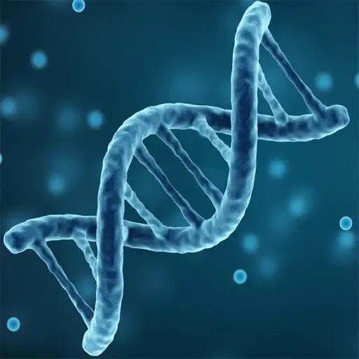 Play Hsc Biology Trick APK