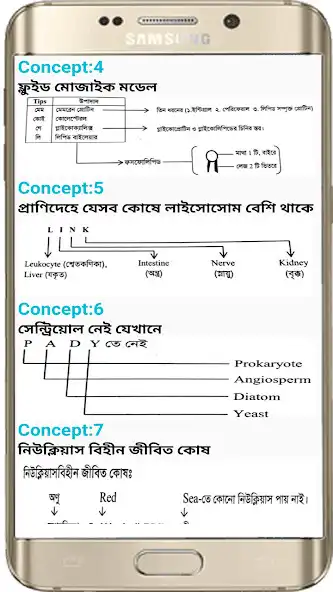 Play Hsc Biology Trick as an online game Hsc Biology Trick with UptoPlay