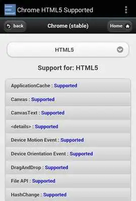 Play HTML5 Supported for Chrome?