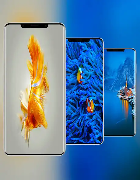 Play Huawei Mate 50 Pro Wallpaper  and enjoy Huawei Mate 50 Pro Wallpaper with UptoPlay