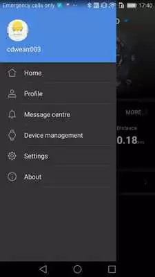 Play Huawei Wear