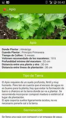Play Huerto en casa as an online game Huerto en casa with UptoPlay