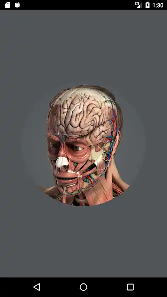 Play Human 3D Anatomy  and enjoy Human 3D Anatomy with UptoPlay