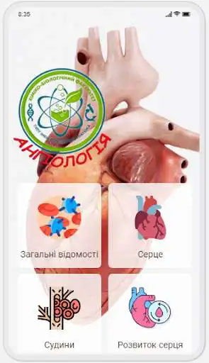 Play Human Anatomy. Angiology  and enjoy Human Anatomy. Angiology with UptoPlay