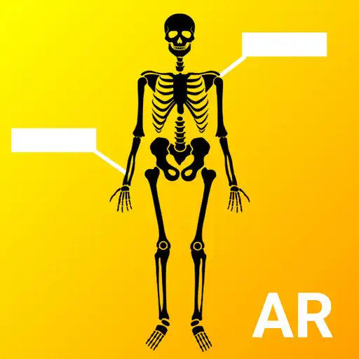Play Human Anatomy AR - Anatomia Humana RA - HUANAR APK
