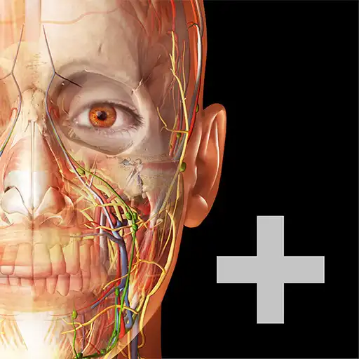 Play Human Anatomy Atlas 2023＋ APK
