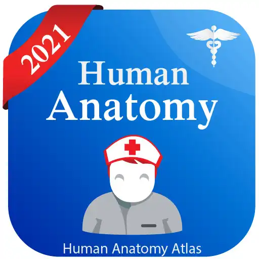 Anatomy Learning 2021 online game with UptoPlay Biology Diagrams