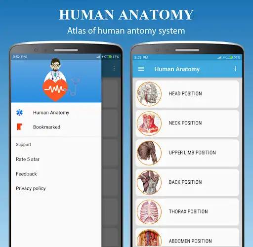 Anatomy Learning 2021 online game with UptoPlay Biology Diagrams