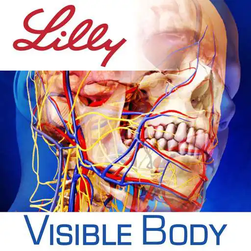 Free play online Human Anatomy Atlas for Lilly APK Free play online Human Anatomy Atlas for Lilly APK