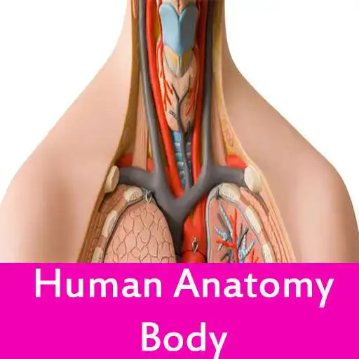 Play Human anatomy body APK Play Human anatomy body APK