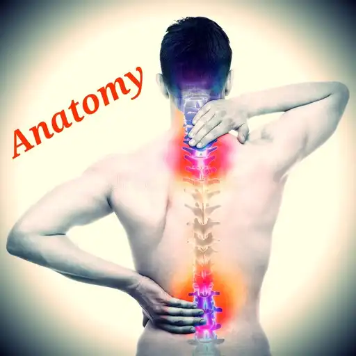Play Human anatomy discover your bo APK Play Human anatomy discover your bo APK