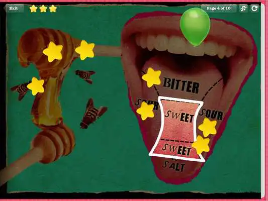 Play Human Anatomy for Kids - Taste