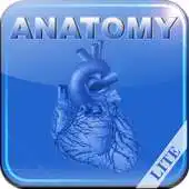 Free play online Human Anatomy II Lite APK Free play online Human Anatomy II Lite APK