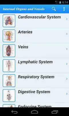 Play Human Anatomy II Lite