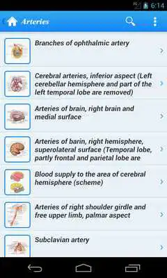 Play Human Anatomy II Lite