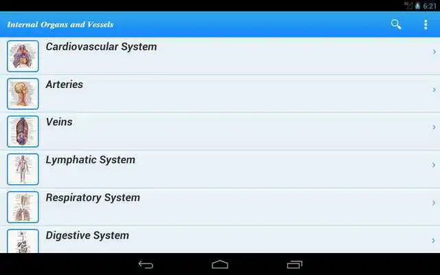 Play Human Anatomy II Lite