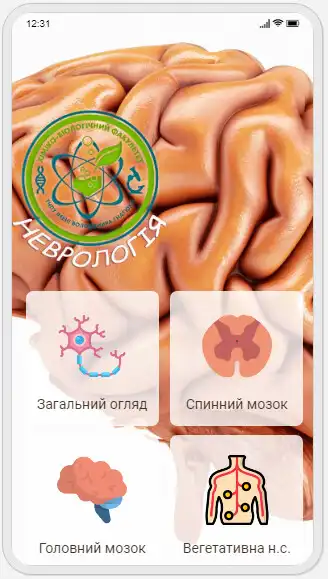 Play Human Anatomy. Neurology  and enjoy Human Anatomy. Neurology with UptoPlay
