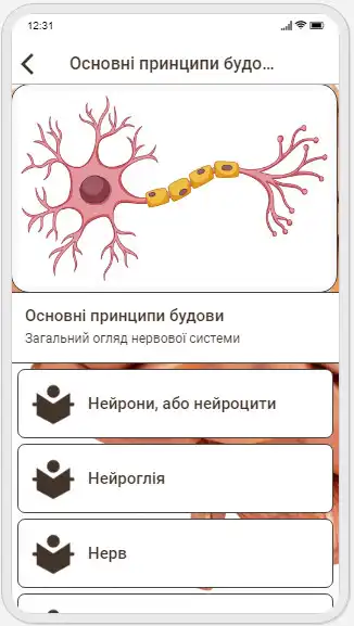 Play Human Anatomy. Neurology as an online game Human Anatomy. Neurology with UptoPlay