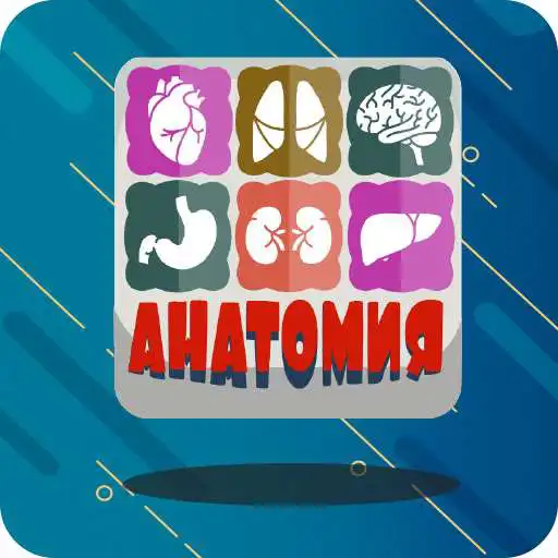Play Human Anatomy Quiz APK