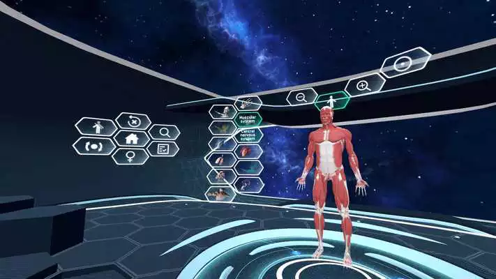 Play Human Anatomy VR