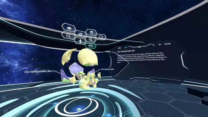 Play Human Anatomy VR