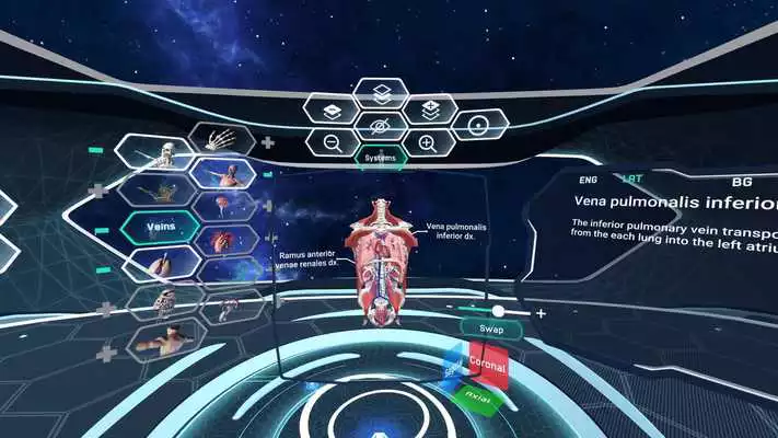 Play Human Anatomy VR