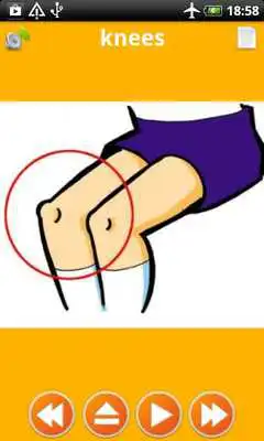 Play Human Body Anatomy for Kids 2