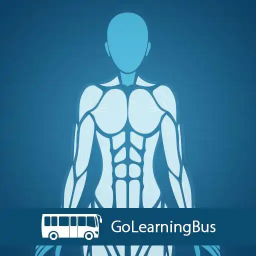 Free play online Human Body Anatomy APK Free play online Human Body Anatomy APK