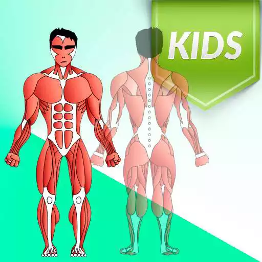 Free play online Human Body for Kids APK Free play online Human Body for Kids APK