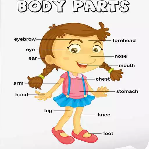Play Human Body Parts APK