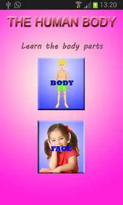 Play Human Body and enjoy Human Body with UptoPlay Play Human Body and enjoy Human Body with UptoPlay