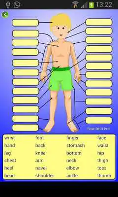 Play Human Body as an online game online Human Body with UptoPlay Play Human Body as an online game Human Body with UptoPlay