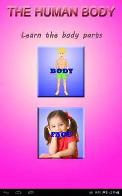 Play Human Body Play Human Body
