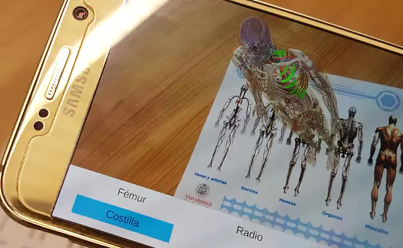Play Human Layers  and enjoy Human Layers with UptoPlay