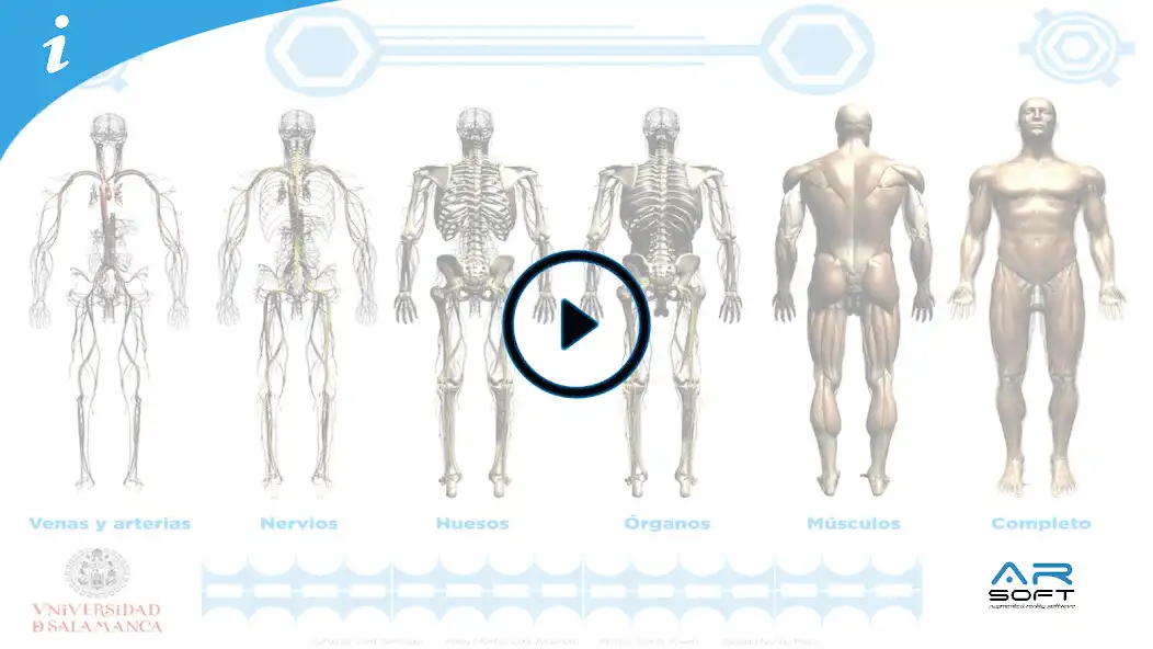 Play Human Layers as an online game Human Layers with UptoPlay