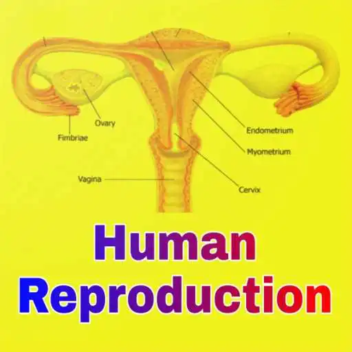 Play Human Reproduction APK