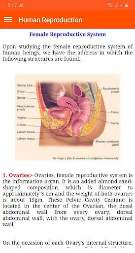 Play Human Reproduction as an online game Human Reproduction with UptoPlay