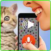Free play online Human-To Cat Translator 2 APK Free play online Human-To Cat Translator 2 APK