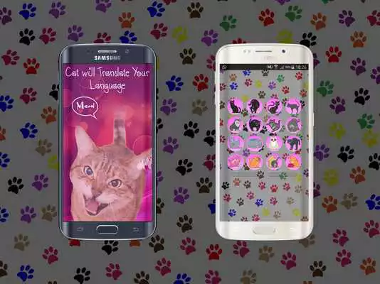 Play Human-To Cat Translator 2