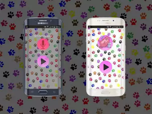 Play Human-To Cat Translator 2