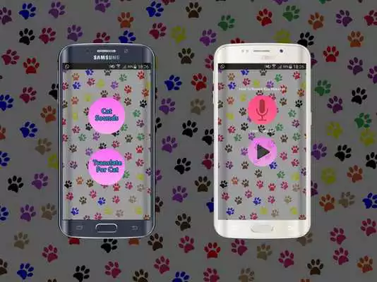 Play Human-To Cat Translator 2