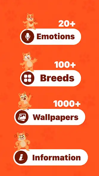 Play Human to cat translator app as an online game Human to cat translator app with UptoPlay