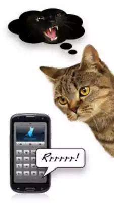 Play Human-to-Cat Translator  and enjoy Human-to-Cat Translator with UptoPlay